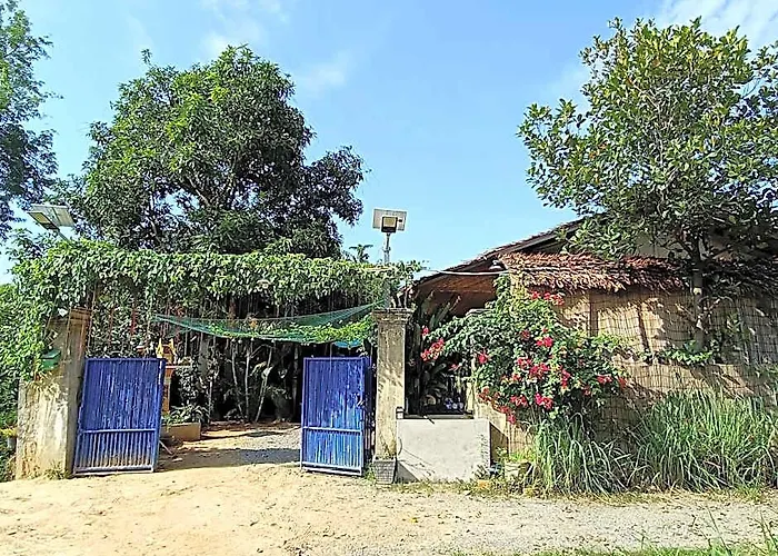 Hotel Homesteading Siem Reap